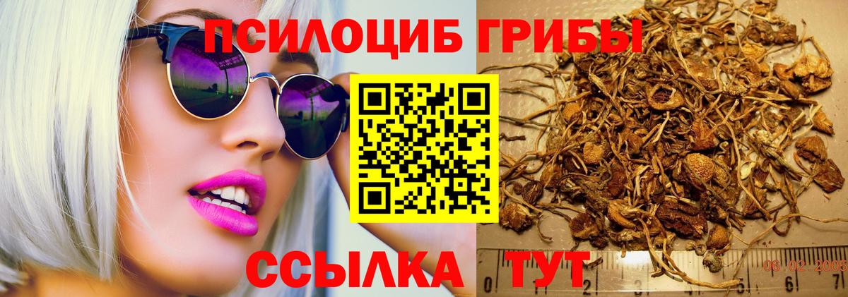Псилоцибиновые грибы Cubensis  Галлюциногенные грибы Psilocybe  купить наркотик  Изобильный  Вход с VPN 